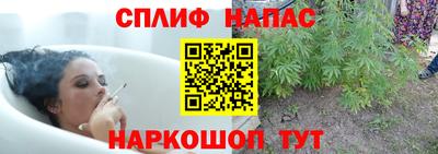 шишки Пыть-Ях
