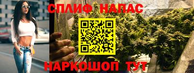 ешки Пугачёв